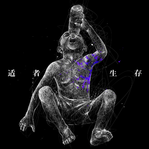 野猫沟下免费阅读全文
