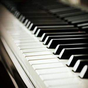 野猫沟下免费阅读全文
