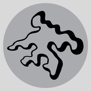 野猫沟下免费阅读全文
