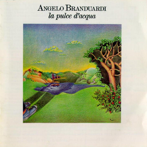 野猫沟下免费阅读全文
