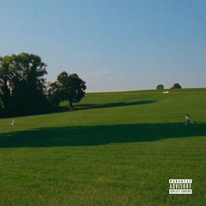 野猫沟下免费阅读全文
