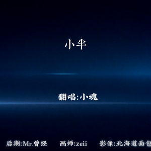 野猫沟下免费阅读全文
