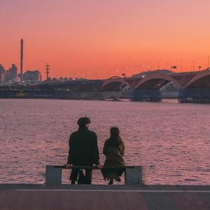 野猫沟下免费阅读全文
