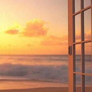 野猫沟下免费阅读全文
