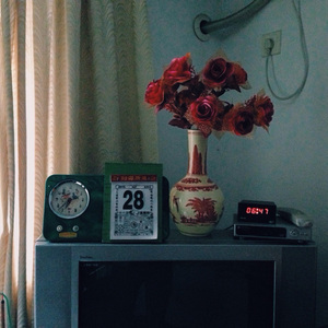 野猫沟下免费阅读全文
