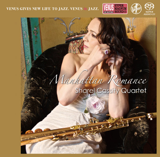 野猫沟下免费阅读全文
